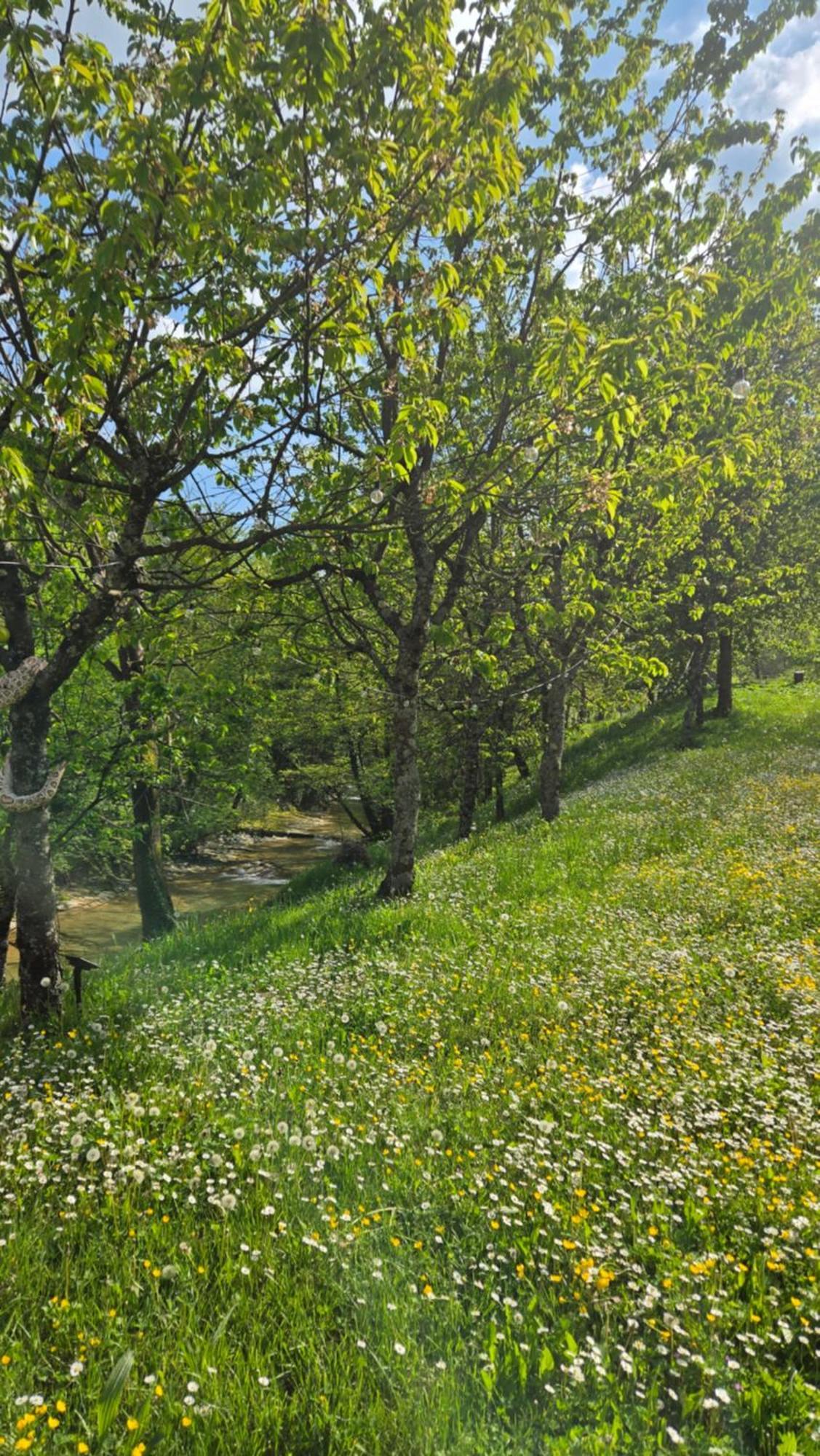 Borgo Corniola B&B Naturista Marradi Εξωτερικό φωτογραφία