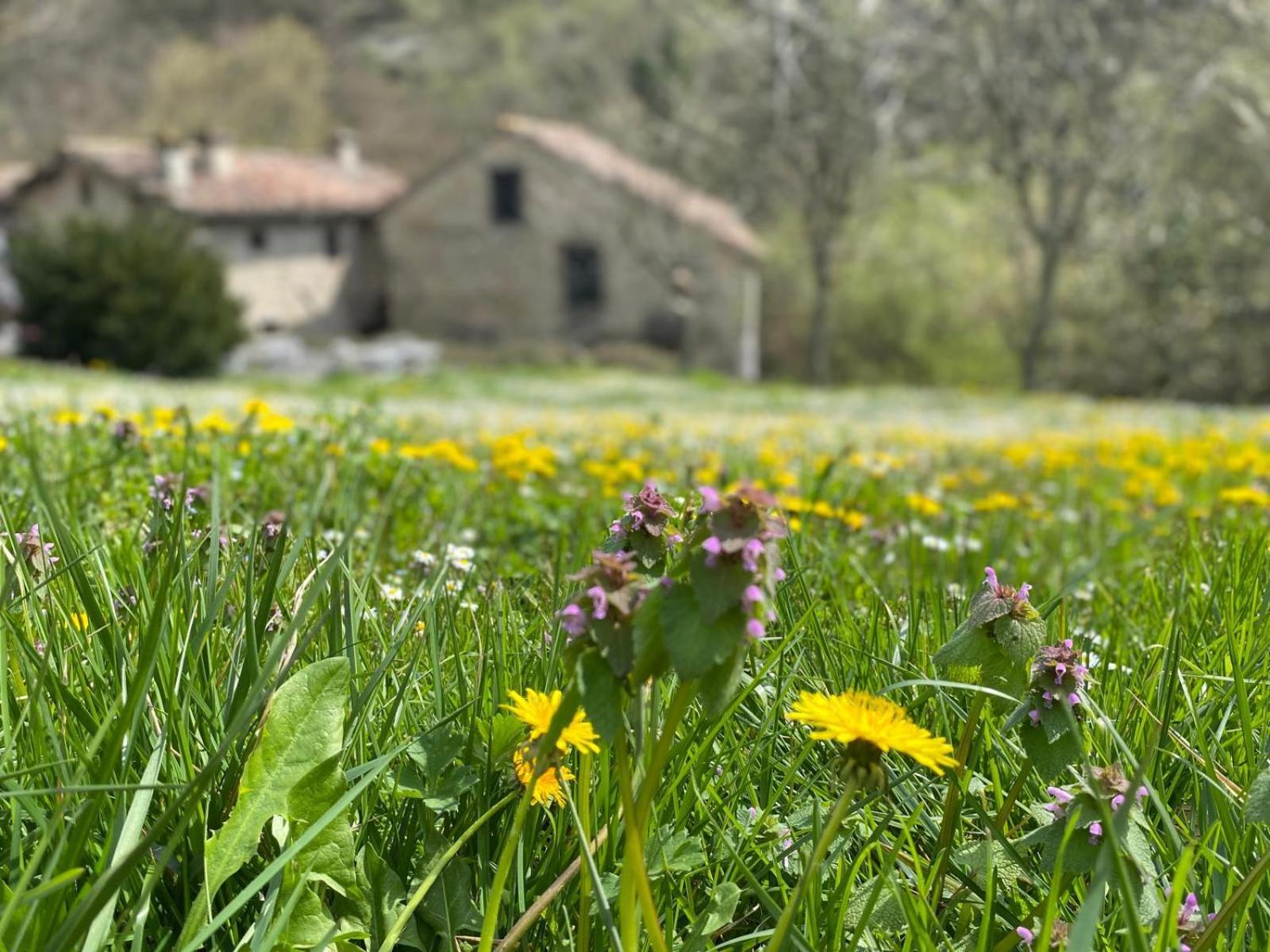 Borgo Corniola B&B Naturista Marradi Εξωτερικό φωτογραφία