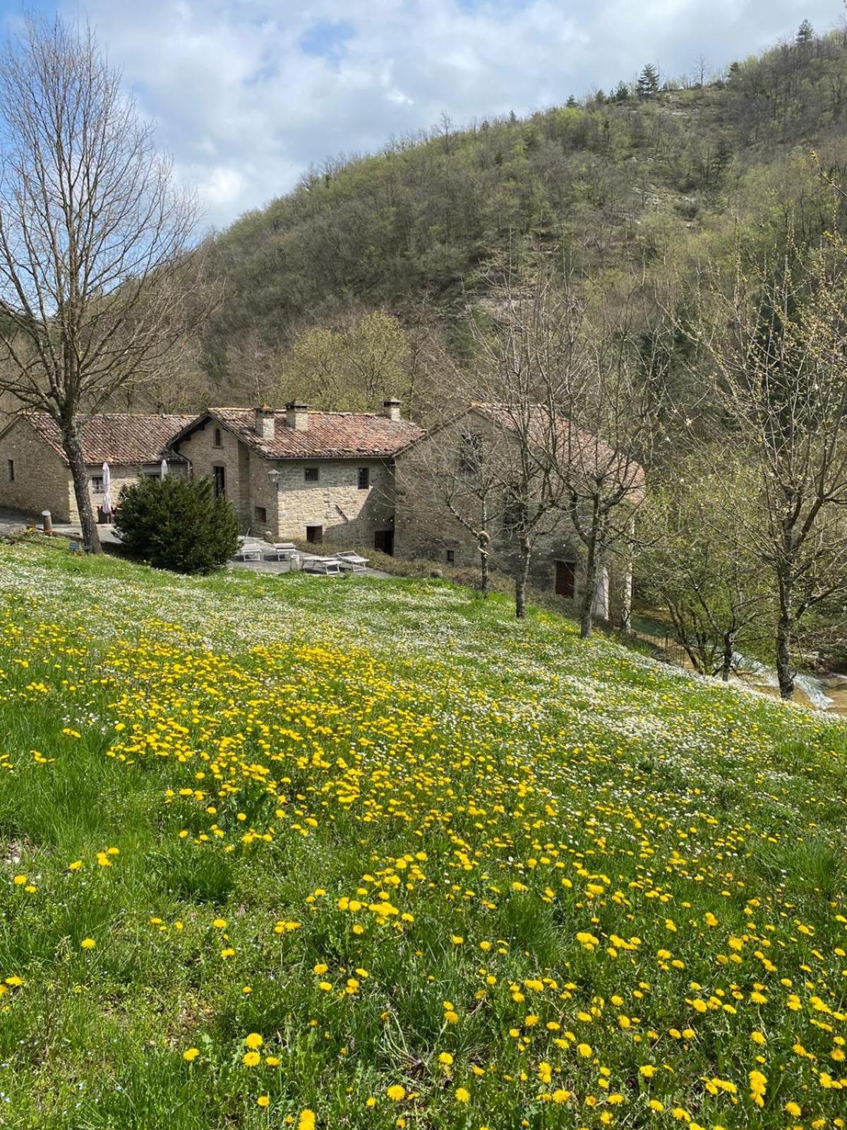 Borgo Corniola B&B Naturista Marradi Εξωτερικό φωτογραφία